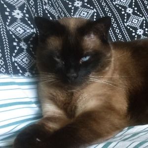 Meet your Posher, Molly